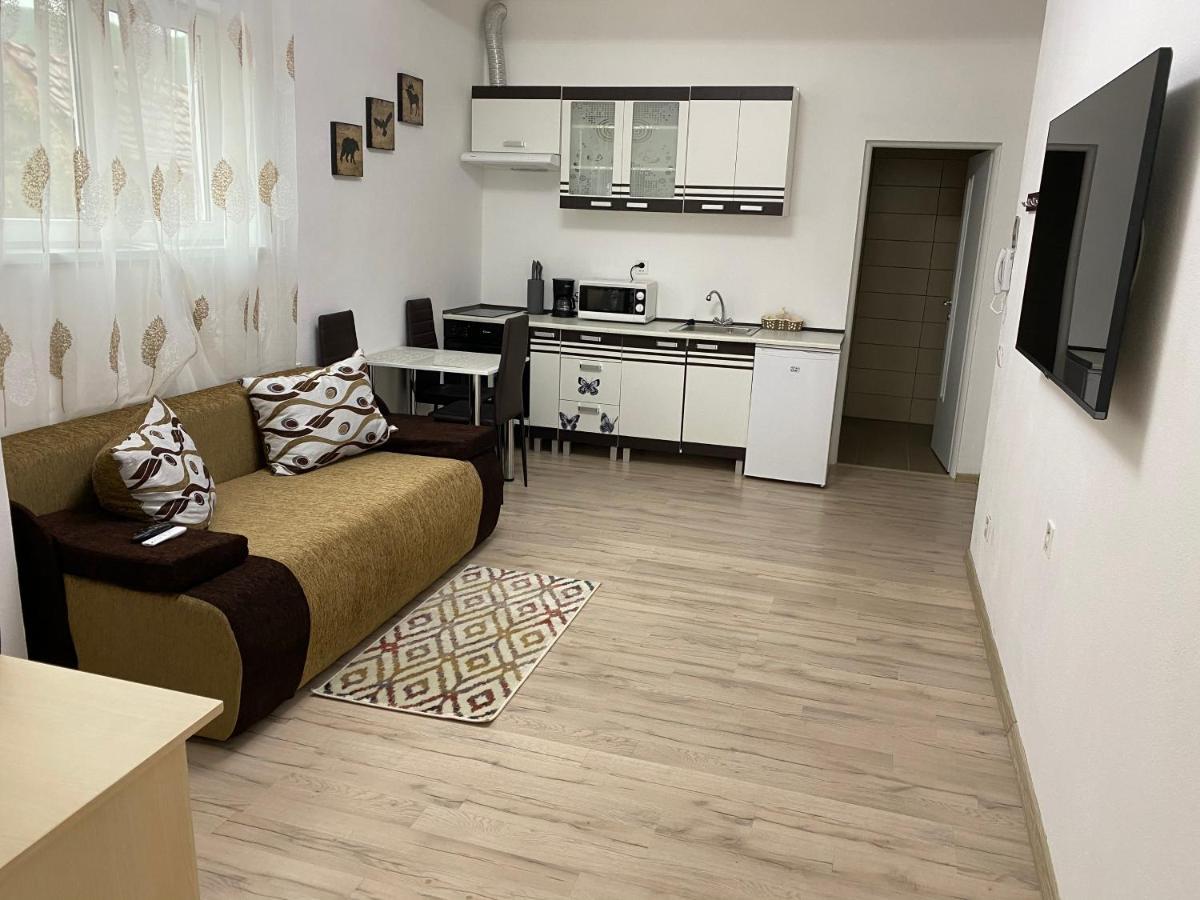 Centralhome Ap1 Sighisoara Exterior photo